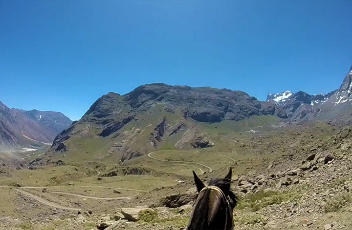 Caballo en Cajón del Maipo